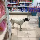 뭉뭉상점 이미지