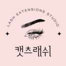캣츠래쉬 이미지
