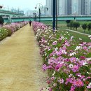 지하철 양산역 이미지