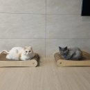 안단테아파트 이미지