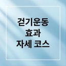 올바른 걷기 챌린지(노르딕 워킹) | 걷기 운동 완벽 가이드