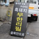 무한돼지 이미지