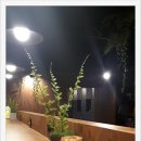 커피랑도서관일산 이미지