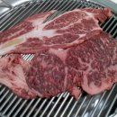 마지농원 이미지