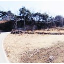 거창전원공인중개사사무소 네이버블로그