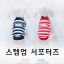 [스텝업] 애견의류 봄신상 서포터즈 모집합니다