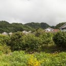 (주)대아울릉리조트 이미지