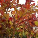 기현2농장 이미지