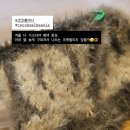 진도개인택시(박효삼) | [직장인 다이어트 기록] 3월 3주차 | 포코피아로 수면부족 | 식단·PT·일상