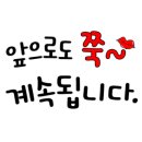 세계효태권도