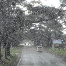 상형농장 이미지