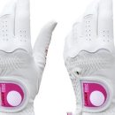 그린벙커 이미지