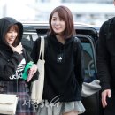 미야와키 사쿠라 카카오 검색결과