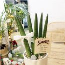 경기화분