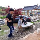 꼬꼬마을 이미지