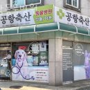 공항 동물병원 이미지