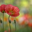 날마다좋은날 이미지