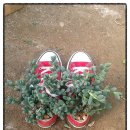 부림1농장 이미지