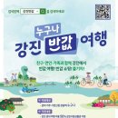 강진4호 이미지