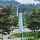 [전남/보성군]몽중산다원