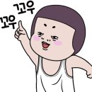 서현펫# 이미지