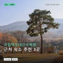 망와고택 | 국립백두대간수목원 근처 숙소 추천 3곳: 가격과 후기 장단점 정리