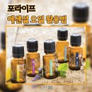 에센셜코리아