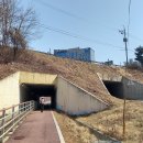 태창할인마트