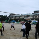 영도초교 이미지