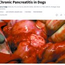 기장i동물의료센터 이미지