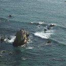 메갈로돈과 리워야단 이미지