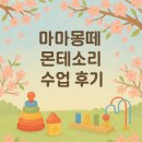 마마몽떼 몬테소리 6주차 수업 후기 – 감각 활동과 교구 체험 정리