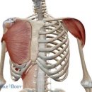 워너짐 반여 이미지