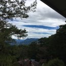 올리브호텔 이미지