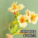카페단비 이미지