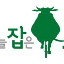 오늘잡은소 이미지