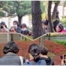 스마트폰초급 이미지