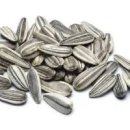 해바라기씨 효능 부작용 칼로리 먹는법 이미지