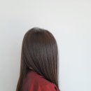 소피아미용실 - 해남군 시등로 115-2 | 소피아미용실