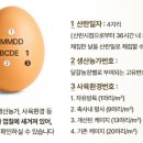 구성양계장 이미지