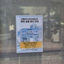 토고래디저트샵 | 가볼만한 곳 - 장생포 수국 축제, 고래마을, 장생포 고래박물관, 고래생태체험관, 모노레일, 미소지안...