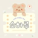 동강전통시장 | 정선 동강할미꽃 축제 알아보기 (봄에만 볼 수 있는 희귀 꽃)