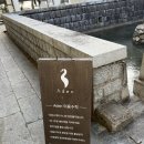 [경주 여행] 크리스마스 느낌 물씬❤️💚 보문단지 보문호 호수뷰 대형 카페 아덴 내돈내산 방문후기