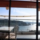 블루아라(I) 이미지