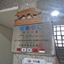 금호유치원 | 수원 애견 유치원 강아지 훈련 교육까지 가능한 멍스스쿨
