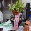 평거연합의원 이미지