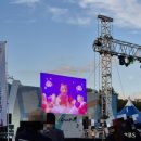 첨성대 핑크뮬리 군락지 - 24.09.29 현황 핑크뮬리위치 경주날씨