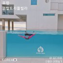 포항 아이랑 여행 추천, 코랄트리풀빌라 프라이빗 미온수수영장에서 보낸 1박 2일 솔직후기
