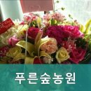 푸른숲농원