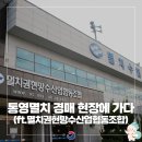 기선권현망수산업협동조합(멸치권현망수협) | 통영멸치 경매 현장에 가다 (ft.멸치권현망수산업협동조합)